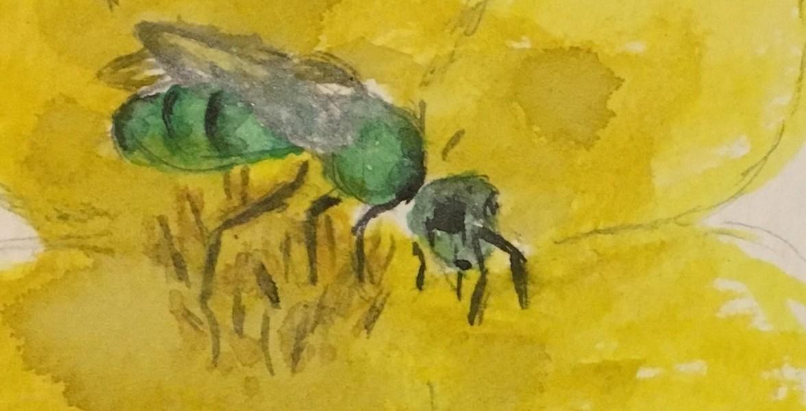 GreenBeeHive activity